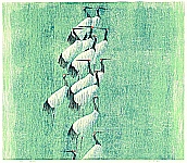 Wang Shimin born 1958 - Beautiful Feathers