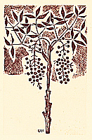 Unichi Hiratsuka 1895-1997 - Hanga Vol.8 - Nandin Tree - artelino Art Auctions. Unichi Hiratsuka 1895-1997 - Hanga Vol.8 - Nandin Tree
