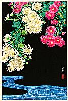 Take a look at Japanese Auction Ending Postponed to July 6 Sunday.