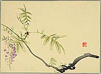 Hobun Kikuchi 1862-1918 - Wisteria - artelino Art Auctions. Hobun Kikuchi 1862-1918 - Wisteria