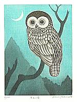 Koichi Sakamoto born 1932 - Watching Owl