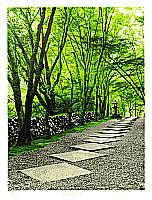Hideaki Kato born 1954 - Green Path - artelino Art Auctions. Hideaki Kato born 1954 - Green Path