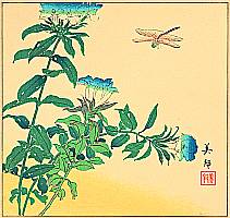 Biho Takahashi 1873-? - Dragonfly - artelino Art Auctions. Biho Takahashi 1873-? - Dragonfly