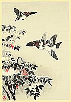 Koitsu Tsuchiya 1870-1949 - Sparrows and Snow Covered Nandin - artelino Art Auctions. Koitsu Tsuchiya 1870-1949 - Sparrows and Snow Covered Nandin