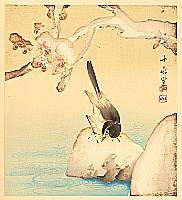 Juppo Araki 1872-1944 - Bird and Plum - artelino Art Auctions. Juppo Araki 1872-1944 - Bird and Plum