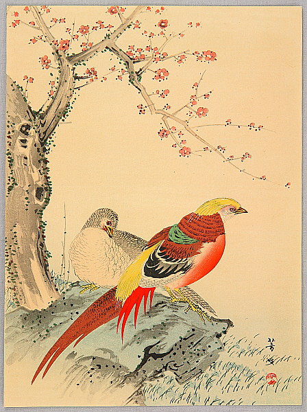 Hobun Kikuchi 1862-1918 - Two Chinese Pheasants