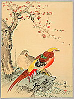 Hobun Kikuchi 1862-1918 - Two Chinese Pheasants