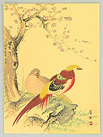 Hobun Kikuchi 1862-1918 - Two Chinese Pheasants