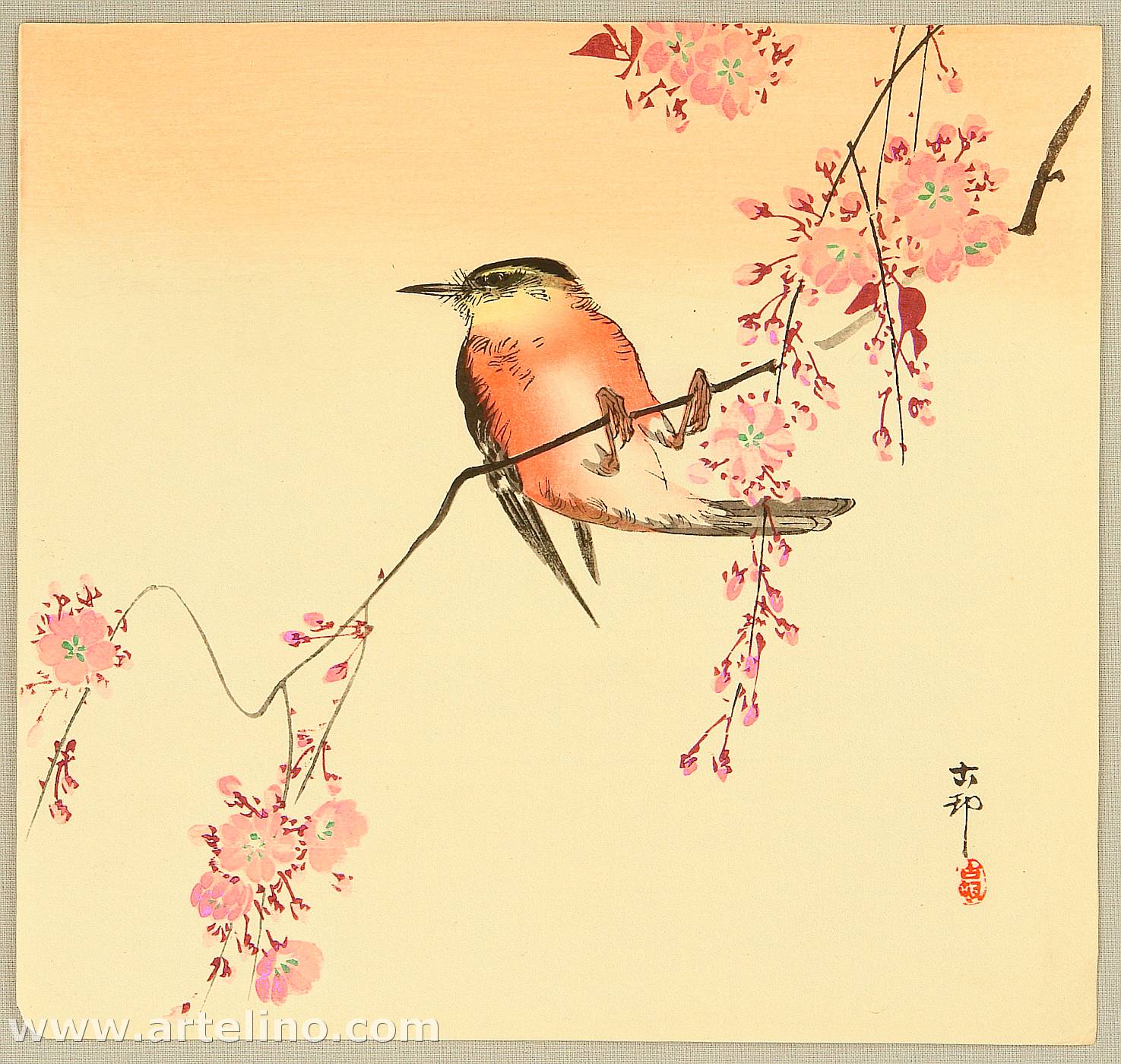 小原古邨: Orange Bird and Cherry Blossom - Artelino - 浮世絵検索
