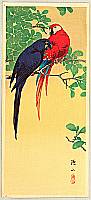 Sozan Ito 1884-? - Two Macaws - artelino Art Auctions. Sozan Ito 1884-? - Two Macaws