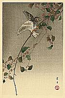 Unknown - Bird on Nandin Tree - artelino Art Auctions. Unknown - Bird on Nandin Tree
