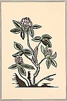 Yoshiteru Ito fl.ca. 1920-30 - Flower - artelino Art Auctions. Yoshiteru Ito fl.ca. 1920-30 - Flower