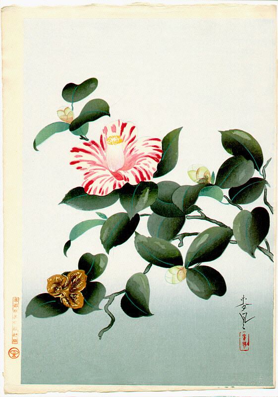 大野麦風: Camellia — 椿花図 - Japanese Art Open Database - 浮世絵検索