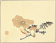 Hobun Kikuchi 1862-1918 - Mushrooms - artelino Art Auctions. Hobun Kikuchi 1862-1918 - Mushrooms