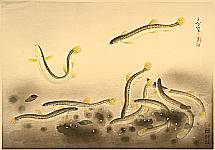 Bakufu Ono 1888-1976 - Pictures of Fish in Japan - Loach - artelino Art Auctions. Bakufu Ono 1888-1976 - Pictures of Fish in Japan - Loach