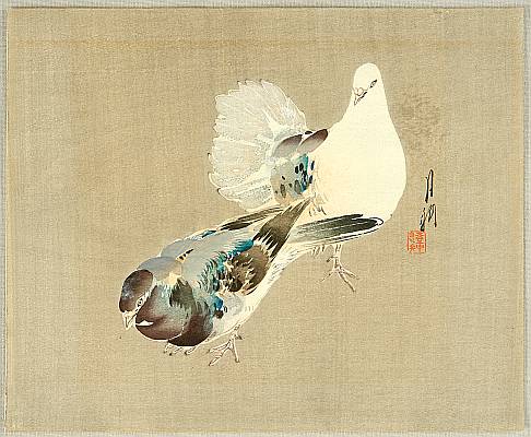 Gekko Ogata 1859-1920 - Two Pigeons