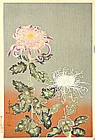 Bakufu Ono 1888-1976 - Chrysanthemums - artelino Art Auctions. Bakufu Ono 1888-1976 - Chrysanthemums
