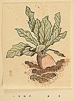 Unichi Hiratsuka 1895-1997 - The Poems and the Prints - Red Turnip - artelino Art Auctions. Unichi Hiratsuka 1895-1997 - The Poems and the Prints - Red Turnip