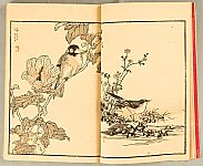 Bairei Kono 1844-1895 - Album of Hundred Birds - artelino Art Auctions. Bairei Kono 1844-1895 - Album of Hundred Birds