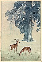 Japanese Prints - Info