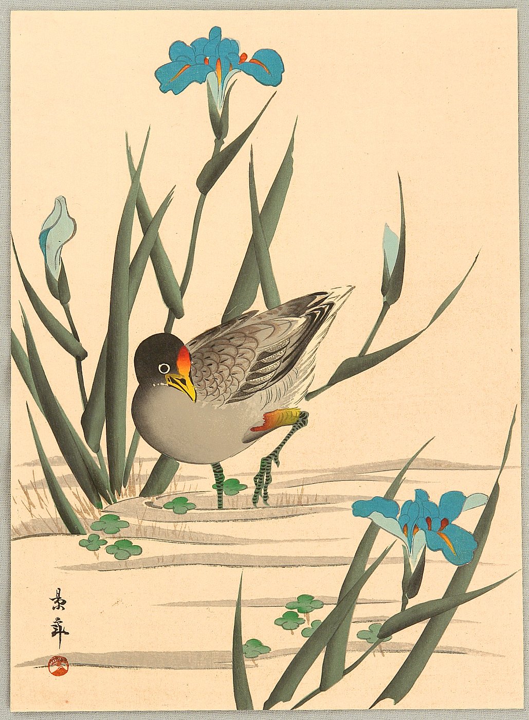 特価限定品rarebookkyoto　325　江上　景逸　蓮の絵　紙本　水墨　設色　山 花鳥、鳥獣