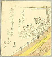 Shinsai Masayuki ca. 1764- 1823 - Cherry Blossoms and Hanging Divider