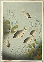 Bakufu Ono 1888-1976 - Crucian Carp - artelino Art Auctions. Bakufu Ono 1888-1976 - Crucian Carp