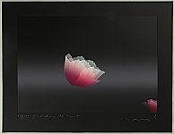 Kozo Inoue born 1937 - Night Garden - artelino Art Auctions. Kozo Inoue born 1937 - Night Garden
