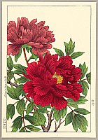 Hodo Nishimura active 1930s - Peonies - artelino Art Auctions. Hodo Nishimura active 1930s - Peonies