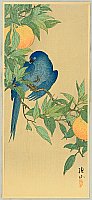 Sozan Ito 1884-? - Blue Parrot - artelino Art Auctions. Sozan Ito 1884-? - Blue Parrot