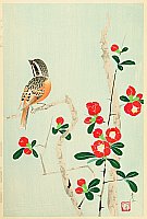 Shundei Nakamura 1904-1966 - Japanese Quince and Bunting - artelino Art Auctions. Shundei Nakamura 1904-1966 - Japanese Quince and Bunting