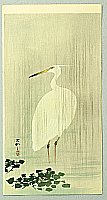 Koson Ohara 1877-1945 - Wading Egret
