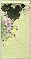 Koson Ohara 1877-1945 - Bird and Grape
