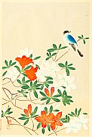 Bakufu Ono 1888-1976 - Blue Bird and Azaleas - artelino Art Auctions. Bakufu Ono 1888-1976 - Blue Bird and Azaleas