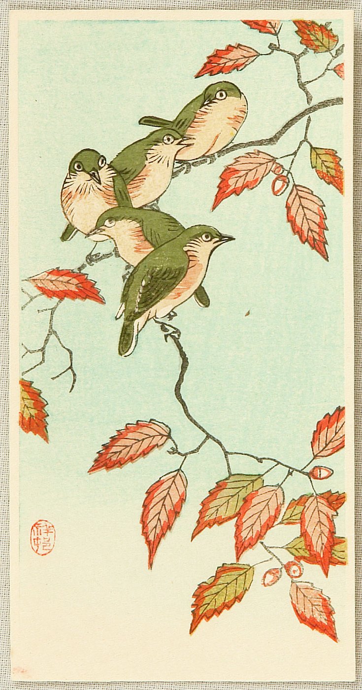 小原古邨: Five Small Birds Perch on Acorn Tree - Artelino - 浮世絵検索