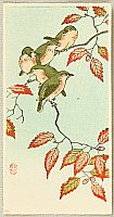 Koson Ohara 1877-1945 - Five Small Birds perch on a Acorn Tree