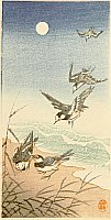 Koson Ohara 1877-1945 - Birds on the Shore