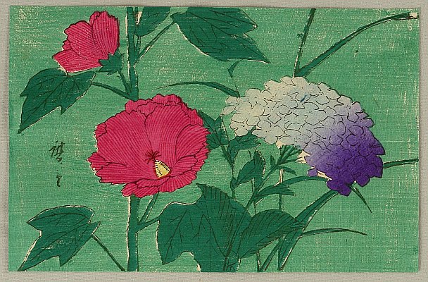 Hiroshige II Utagawa 1829-1869 - Hydrangea and Mallows
