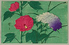 Hiroshige II Utagawa 1829-1869 - Hydrangea and Mallows