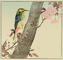 Seiko active ca. 1890 - 1900 - Wood Pecker - artelino Art Auctions. Seiko active ca. 1890 - 1900 - Wood Pecker
