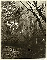 Juso Watanabe born 1928 - Dappling Light