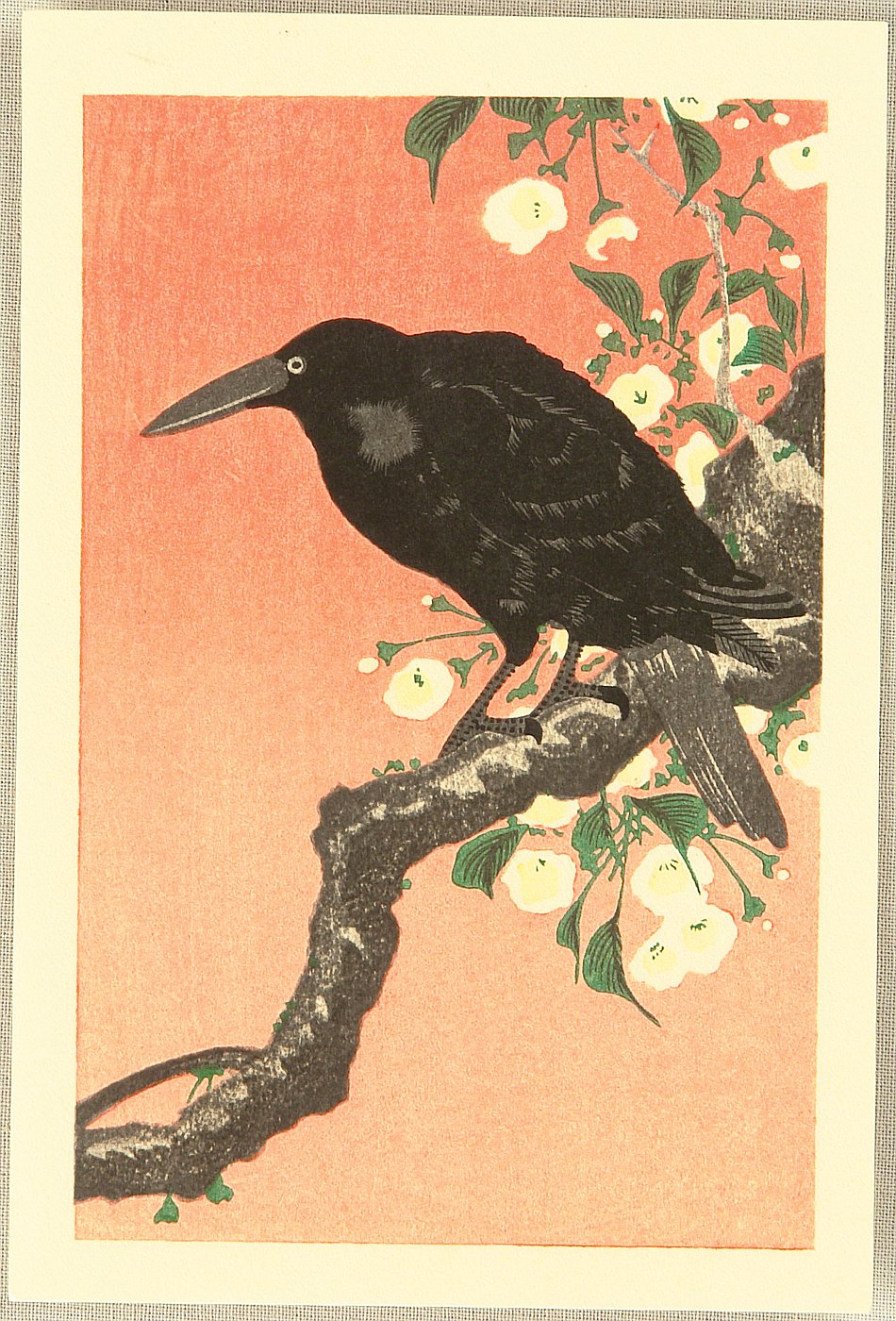 小原古邨: Crow and Cherry Blossoms - Artelino - 浮世絵検索