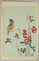 Shundei Nakamura 1904-1966 - Japanese Quince and Bunting - artelino Art Auctions. Shundei Nakamura 1904-1966 - Japanese Quince and Bunting