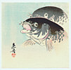 Zeshin Shibata 1807-1891 - Carp - artelino Art Auctions. Zeshin Shibata 1807-1891 - Carp