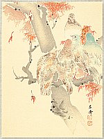 Yosai Kikuchi 1788-1878 - Pigeons and Maple - artelino Art Auctions. Yosai Kikuchi 1788-1878 - Pigeons and Maple