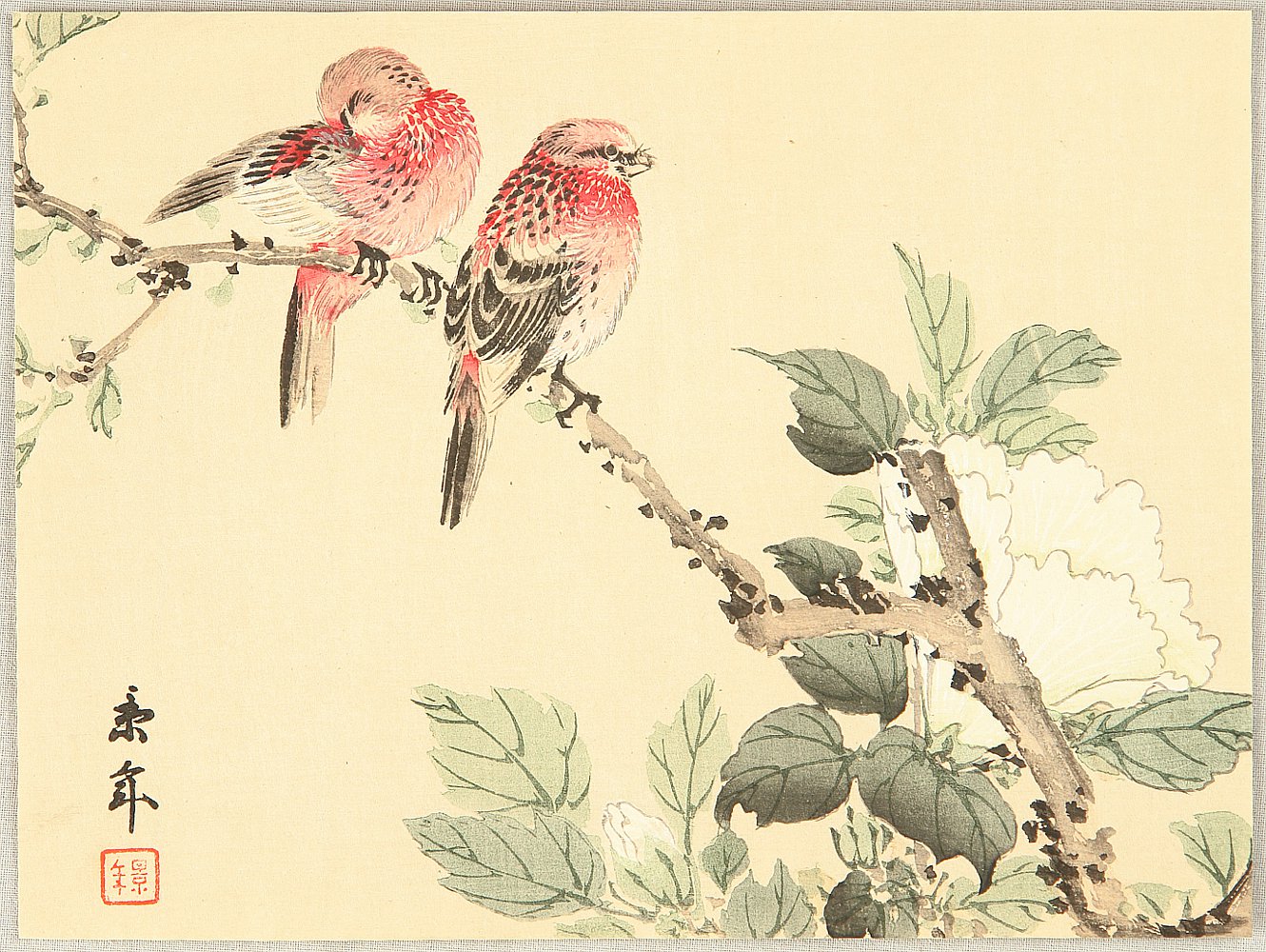今尾景年: Keinen kacho gakan 景年花鳥画鏡 (Birds and Flowers 