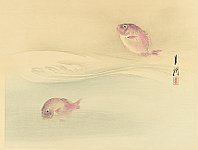 Gekko Ogata 1859-1920 - Fish - artelino Art Auctions. Gekko Ogata 1859-1920 - Fish