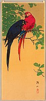 Sozan Ito 1884-? - Two Macaws - artelino Art Auctions. Sozan Ito 1884-? - Two Macaws