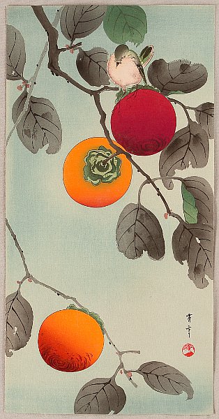 Seitei (Shotei) Watanabe 1851-1918 - Bird on a Persimmon Tree Bird on a Persimmon Tree by Seitei (Shotei) Watanabe 1851-1918