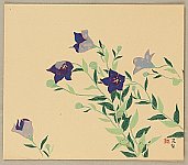 Chosei Miwa 1901-1983 - Blue Balloon Flower - artelino Art Auctions. Chosei Miwa 1901-1983 - Blue Balloon Flower